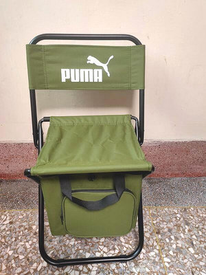 PUMA 多功能保冷袋露營椅 全新品，僅打開拍照