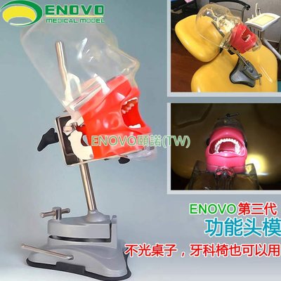 (ENOVO-104) 口腔科仿生頭模系統齒科備牙牙醫培訓牙科頭模牙齒模型