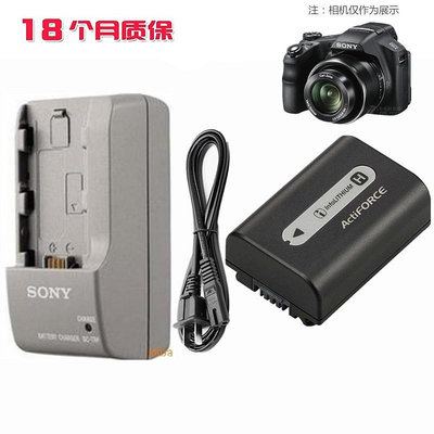 【新店促銷】NP-FH50適用于 索尼DSC-HX1 HX100 HX200長焦數碼相機電池+充電器