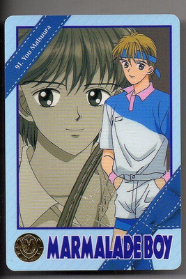 《CardTube卡族》(061122) 91 日本原裝橘子醬男孩 萬變卡∼ 1995年遊戲普卡