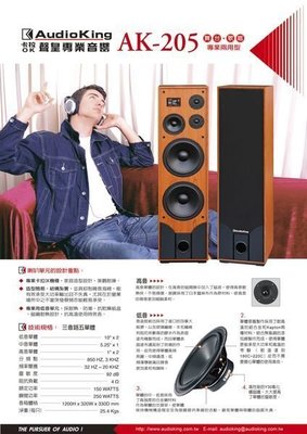Audio King AK-205 台灣製雙10吋低音 全音域歌唱劇院喇叭~另有AK-105~ 美華 音圓  點將家首選