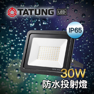 大同 防水LED投射燈 30W 另有50W 一體式燈殼 防水係數IP65 招牌投射 看板投射 戶外照明 防水投光燈 保固