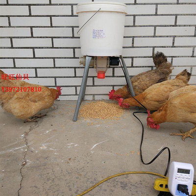 餵食器鴿子用品用具自動喂食器信鴿食槽智能定時養雞自動喂食器喂雞神器