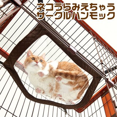 King Day【日本原裝】可看到貓咪肉墊的透明吊床