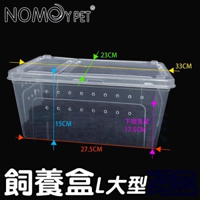 Y。。。青島水族。。。H5W中國NOMO諾摩-掌上名蛛 爬蟲飼養盒 可堆疊飼育盒 昆蟲箱==L大型/透明白