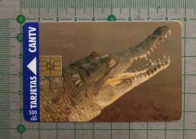 【卡庫】【瀕危動物】委內瑞拉1995年，奧利諾科鱷  KVE057