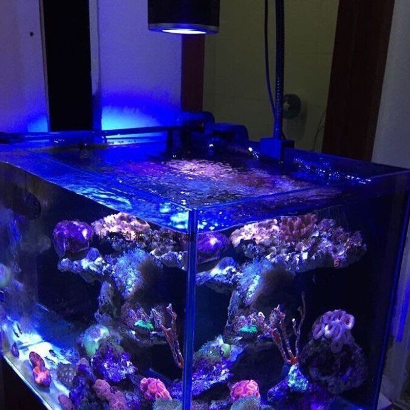 水族用品 Kelo全光譜水草燈珊瑚燈海水led藻缸魚缸專用led燈防水kessil神燈好貨 Yahoo奇摩拍賣