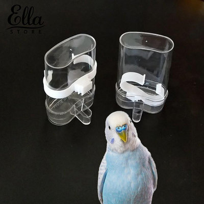 家有愛寵🐶鳥用品自動飲水器 餵食器 鴿子鸚鵡喝水杯 喂鳥器 鸚鵡飲水機 寵物用品