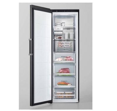 LG 直立式冷凍櫃(無霜) GC-FL40BE
