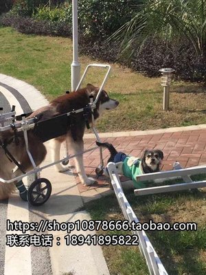 現貨 寵物推車寵物輪椅/四肢癱瘓狗輪椅大型犬輪椅/寵物代步車殘疾狗車寵物推車