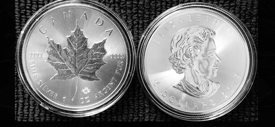 2019年1盎司加拿大楓葉銀幣9999純銀銀幣的邊緣是‘ELIZABETH II' 5 圓字樣MINTSHIELD