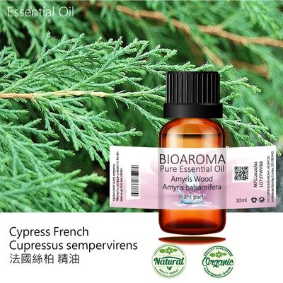 【芳香療網】法國絲柏精油Cypress French - Cupressus sempervirens  100ml