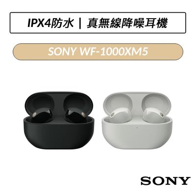 ❆現貨❆ 索尼 SONY WF-1000XM5 藍牙主動式降噪真無線耳機