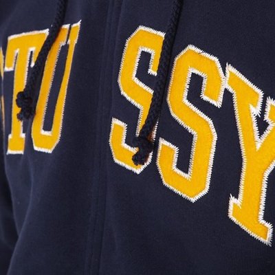 stussy college arc hoodie