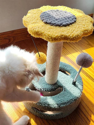 貓抓板貓爬架小型貓窩貓樹爬抓柱子一體玩具貓抓板貓咪用品貓架子不占地貓玩具