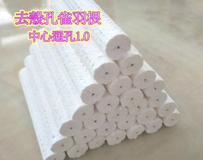 去殼孔雀羽根 10mm*8公分 中通孔1.0mm  電子浮標 阿波 浮標素材