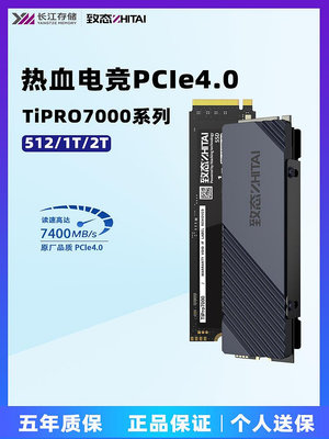 致態(ZhiTai)TiPro7000 1TB M.2 4.0筆記本臺式機SSDm2固態硬盤2t