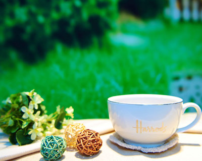 英國哈羅斯出口harrods外貿陶瓷杯套馬克杯情侶杯咖啡杯茶壺茶杯