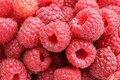 ╭☆東霖園藝☆╮稀有水果苗(覆盆子)木莓(Raspberry)覆盆莓.可生食或加工  一盆100