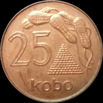 【二手】 尼日利亞 1991年 25烤包 kobo 花生 銅幣644 外國錢幣 硬幣 錢幣【奇摩收藏】