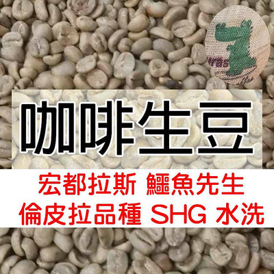 1kg生豆 宏都拉斯 鱷魚先生 倫皮拉品種 SHG 水洗 - 世界咖啡生豆《咖啡生豆工廠×尋豆~只為飄香台灣》咖啡生豆
