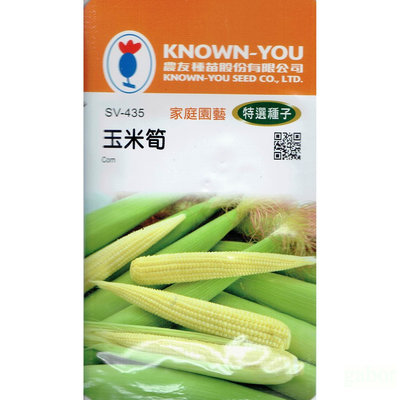 種子王國 玉米筍 Corn(sv-435) 【蔬菜種子】農友種苗特選種子 每包約10公克 耐熱、耐濕