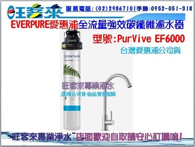 EVERPURE愛惠浦 全流量強效碳纖維濾水器PURVIVE-EF6000 (公司貨)(含運)(附發票)~提問有問有便宜