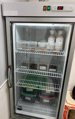 甲蟲 甲蟲冰箱  冷藏溫度可設 20度 至 25度 400公升 110V 台灣製