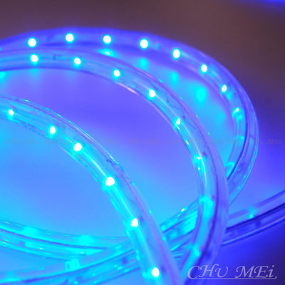 110V-藍光LED二線3528水管燈 - led燈條 燈條 圓二線 非霓虹 led 水管燈 管燈 條燈 燈飾 非霓虹燈