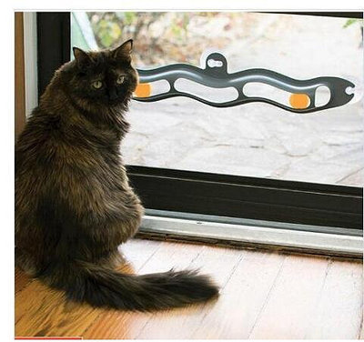貓咪吸盤軌道球 貓咪玩具 吸附玻璃吸盤軌道球窗