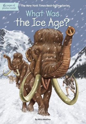 ＊小貝比的家＊WHAT WAS THE ICE AGE/平裝書/7~12歲/歷史