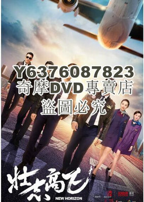 DVD影片專賣 2021大陸劇 壯誌高飛/壯志高飛 陳喬恩/鄭愷 高清盒裝6碟