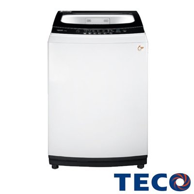 TECO東元 13公斤 定頻直立式洗衣機 W1318FW 超音波強力洗淨 立體活水瀑布水流