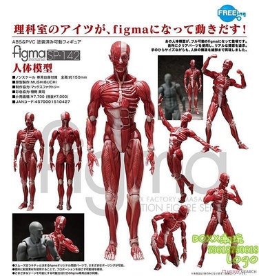 BOxx潮玩~日版 FREEing figma SP-142 桌面美術館 人體模型 手辦 現貨