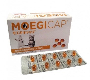 日本共立MOEGITAB 貝節益100粒盒裝膠囊 寵物犬貓關節