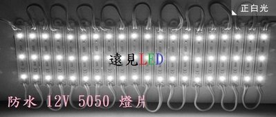 ♥遠見LED♥單色 SMD 高亮 LED燈片12V 5050 三燈防水模組 LED燈片 層板燈 燈箱 車內