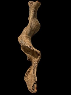 台灣古早韻味的 Hinoki 扁柏 天然風化奇木重油折花榴殼 蒼勁轉根,生命力系列的裝置擺飾 享受芬多精香