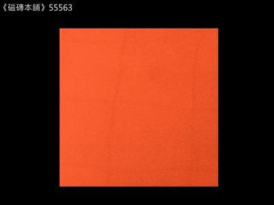 《磁磚本舖》進口色磚 55563 亮橘色 壁磚 20*20公分