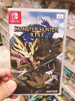 有間電玩 二手良品  NS SWITCH 魔物獵人 崛起 Monster Hunter Rise 中文版
