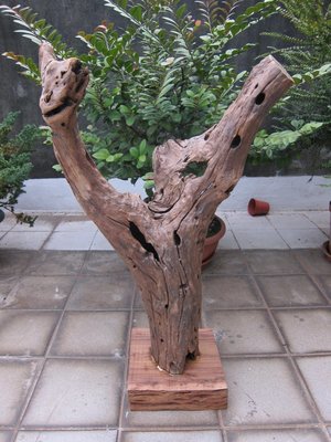 [巧豐]奇木 天雕 蟲雕 風化木 黃連木 自然抽象 裝置藝術擺件 收藏品(編號:681)