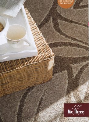 【范登伯格】威尼斯進口極簡超現代長纖維大尺寸地毯.促銷價12790元含運-200x290cm
