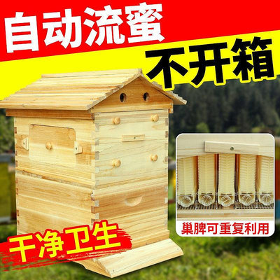 蜂大哥自流蜜蜂箱全套中蜂全自動自流蜜脾裝置煮蠟杉木養養蜂工具