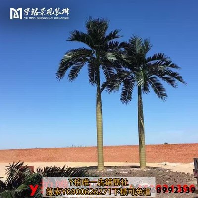 特賣-仿真植物熱帶仿真椰子樹假椰樹大型室內裝飾海藻樹棕櫚樹大王椰子 樹風景假花