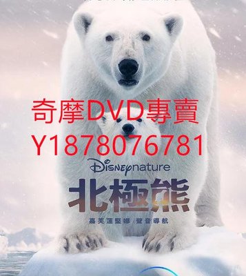 DVD 2022年 北極熊/Polar Bear 紀錄片