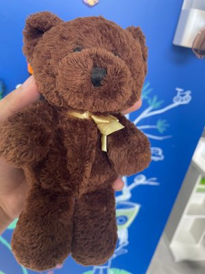 9成新 GANZ 熊 泰迪熊 加拿大購入 玩偶娃娃玩具絨毛 收藏款