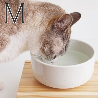 【臣喵小舖】日本製瀨戶燒 Aukatz Health Water Series-貓咪多喝水碗-奶油白 M