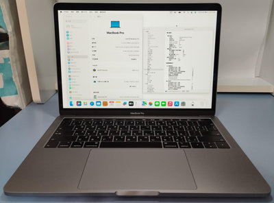 全新螢幕2018年太空灰色 Apple MacBook Pro A1989 i5 8G 256G SSD可雙系統