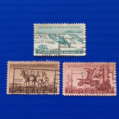 【大三元】美洲舊票-美國1956年野生動物保育 - 野生火雞、叉角羚和帝王鮭郵票 -3全1套(68)