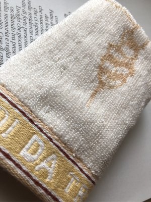 日本攜回義大利??老牌Trussardi 手帕四方巾，約23.5公分