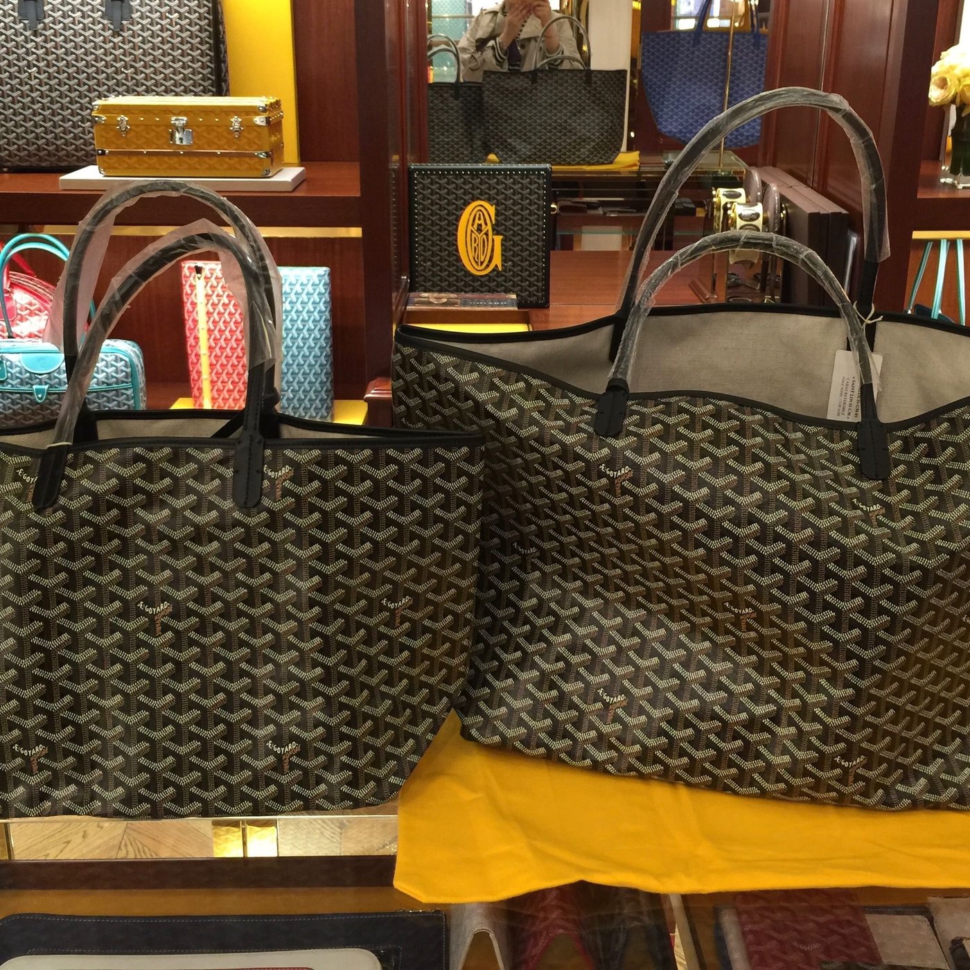 goyard gm pm